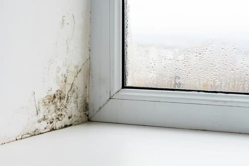 Audit humidité et condensation bâtiment – CIVIGO BET thermique
