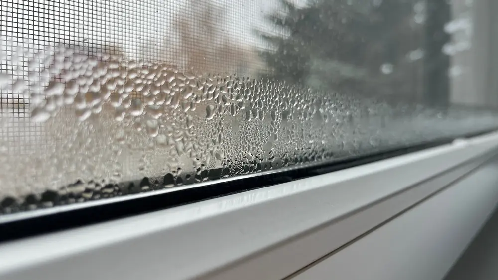 Vue en gros plan d'une vitre présentant de la condensation et des gouttelettes d'eau sur le cadre de fenêtre