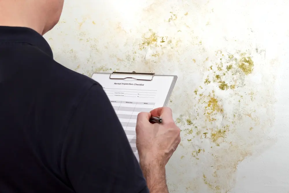 Expert réalisant un contrôle d'humidité devant un mur recouvert de moisissure et de traces d'humidité